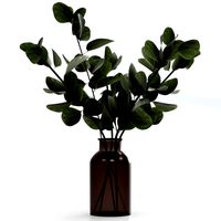 Bouquet of eucalyptus twigs