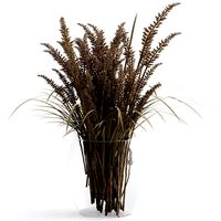 A bouquet of dried flowers