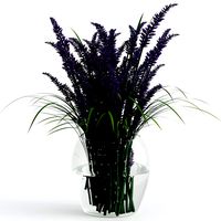 Bouquet of lavender
