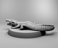 African crocodile