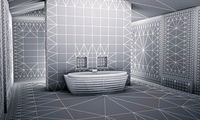 THE BATHROOM COLLECTION 2010 RAW EDITION