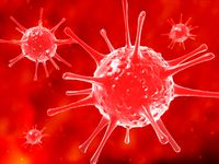 Viruses bacteria Science cells nerve cells neurons