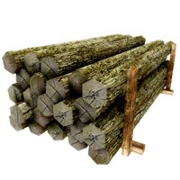 Wood log