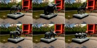 animals