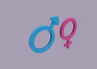 Gender Symbols