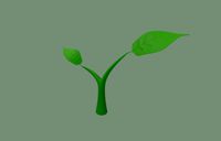 Plant Sprout