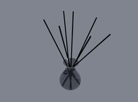 Aroma Sticks in Glass