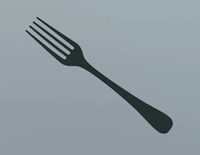 Fork