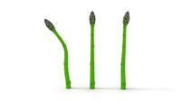 Asparagus with Shapes