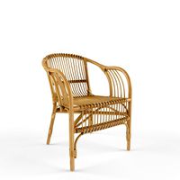 Pari Rattan Chair