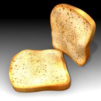 Bread Slice