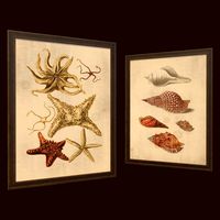 Pictures - PBR Game Ready