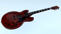 Electric Guitar