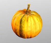 Pumpkin, High polly model, #9