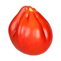 Highly Detailed Oxheart Tomato Scan