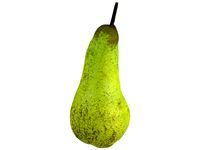 Highly Detailed Pear Scan 3
