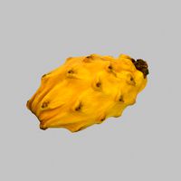 Yellow Dragon Fruit