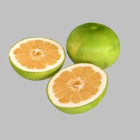 Green Grapefruit