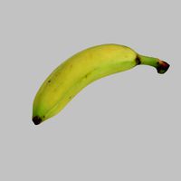 Banana
