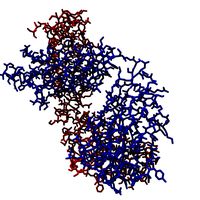 Herceptin (Molecule)