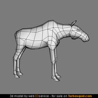 Young Moose 3d model 3ds max format