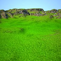 Terrain 044