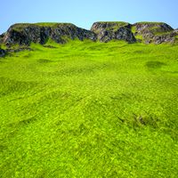 Terrain 040