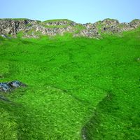 Terrain 033