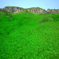 Terrain 031