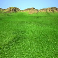 Terrain 030