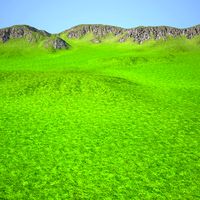 Terrain 028