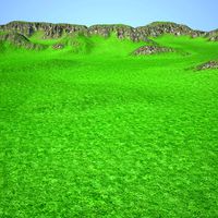 Terrain 023