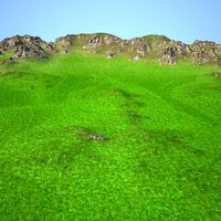 Terrain 015