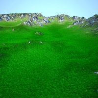 Terrain 013