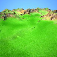 Terrain 006