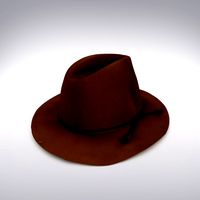 Hat Brown Felt - 3D Scanned