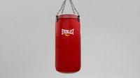 Punching Bags 2