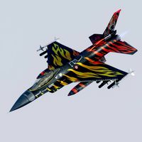 F16 Tiger