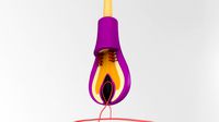 Hair Bulb