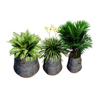 Barrel Planter Set