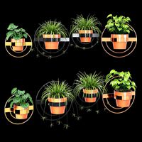 Wall planters round