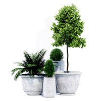 Mone studio pot