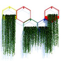 Hexagon color planters
