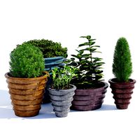 Ribbed Series