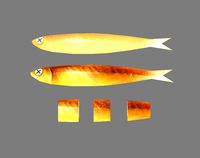 Cartoon fried fish