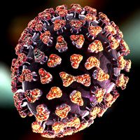 Coronavirus COVID-19