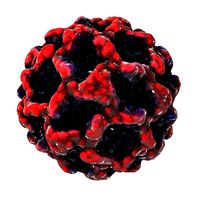 Virophage Sputnik
