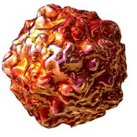 Swine Vesicular Disease Virus