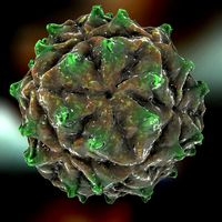 Nodamura Virus
