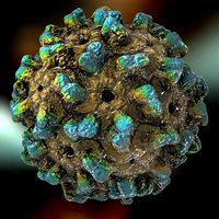 Carnation Mottle Virus